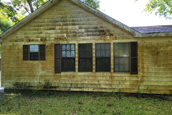 The exterior of a house showing dirty, mildew-stained siding and windows, in need of house washing services.