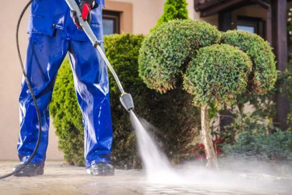 A person wearing blue protective gear using a pressure washer to clean a paved surface near well-manicured plants, demonstrating pressure washing services for residential outdoor areas.