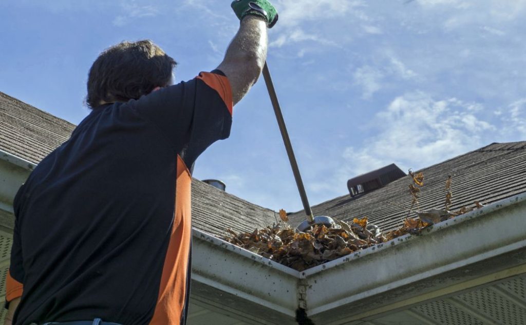 A person is clearing fallen leaves and debris from a roof gutter using a long pole. This action is part of maintaining a clean and functional roof.
