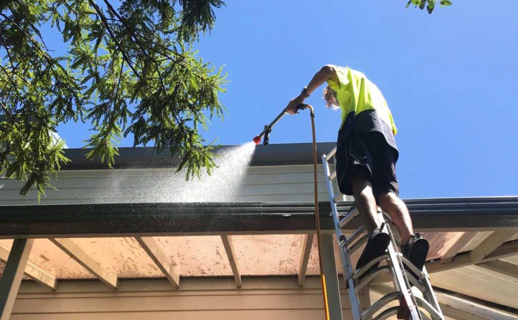 Technician standing on a ladder, gently cleaning the exterior siding of a house with a soft washing system under clear blue skies, demonstrating the Best Soft Washing Services for high and delicate surfaces.